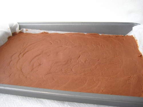chocolateshortbreadfingers-4