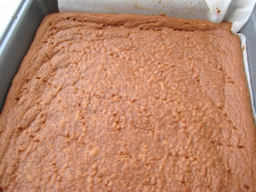 chocolateshortbreadfingers-6